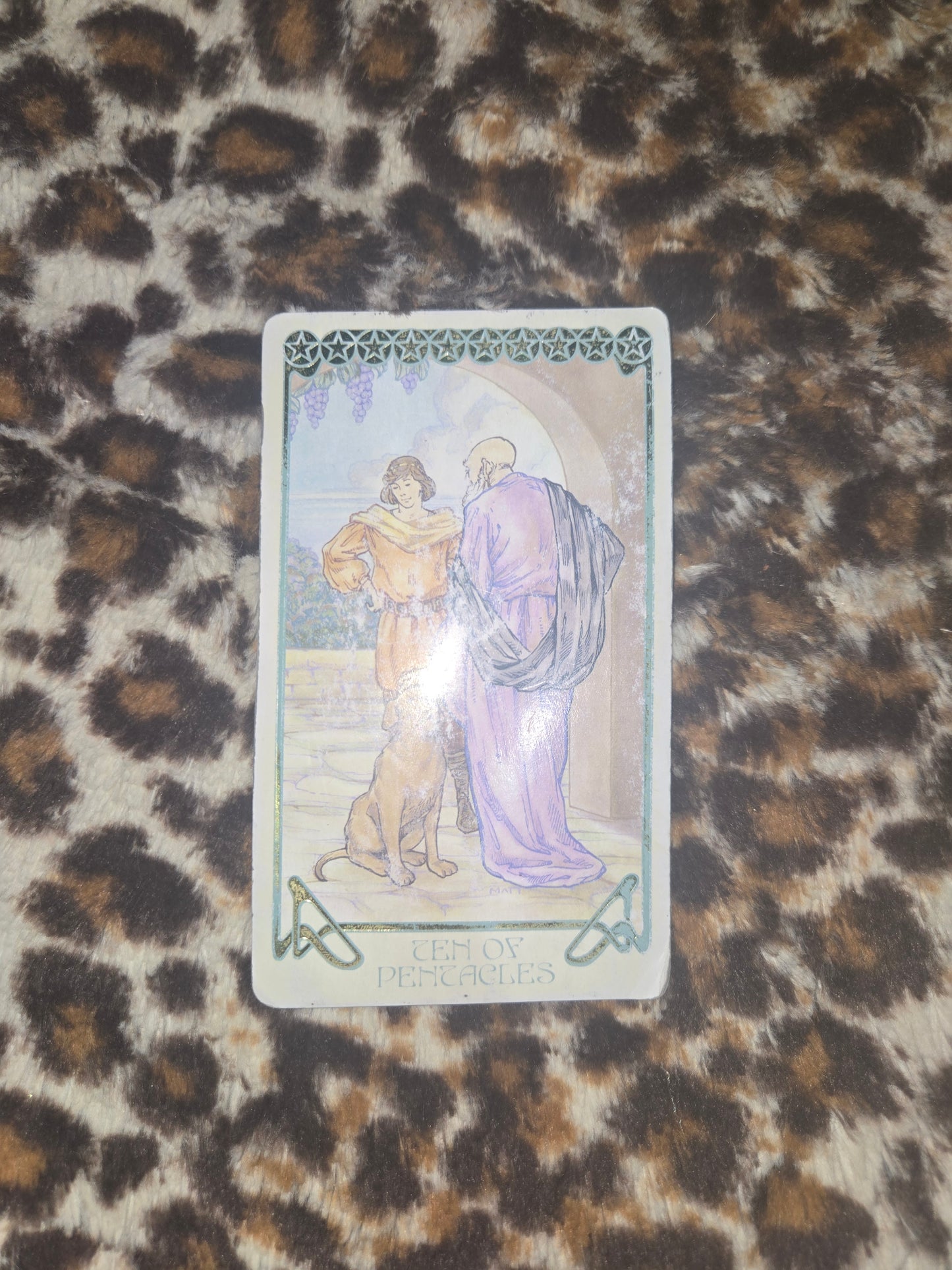 Live Tarot Reading (1 Card)