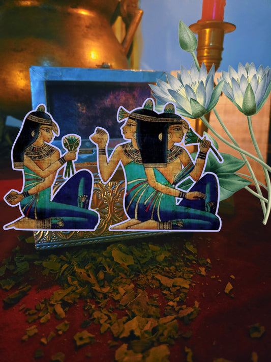 Real Egyptian Blue Lotus